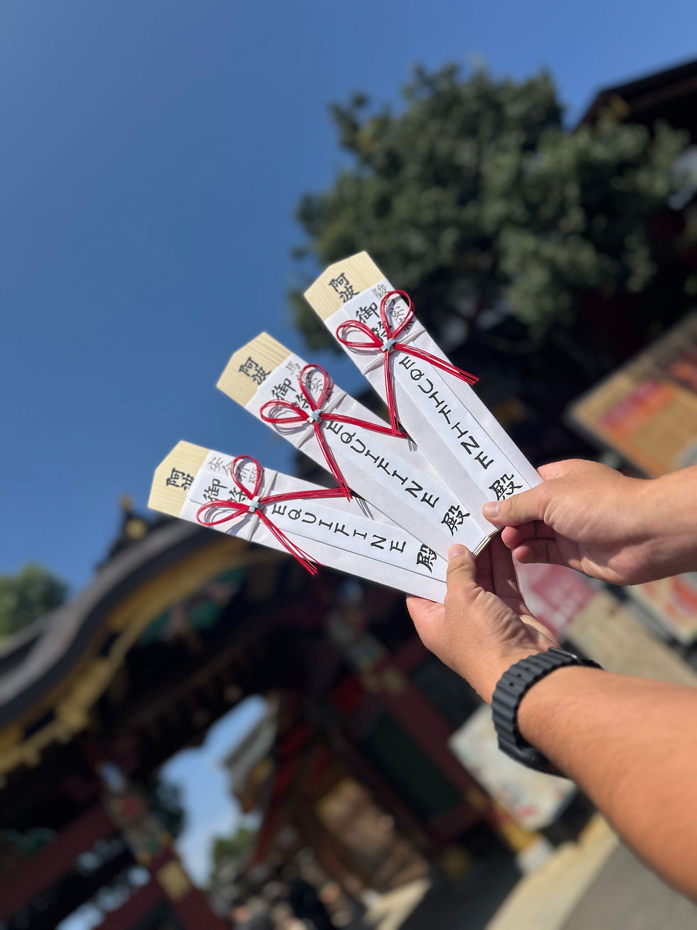 大杉神社で祈願⛩️