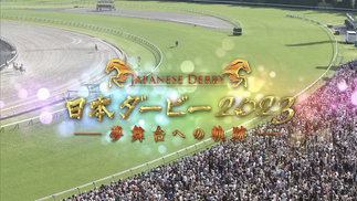 TV「日本ダービー2023」｜テレビ東京制作様｜演出 / 編集