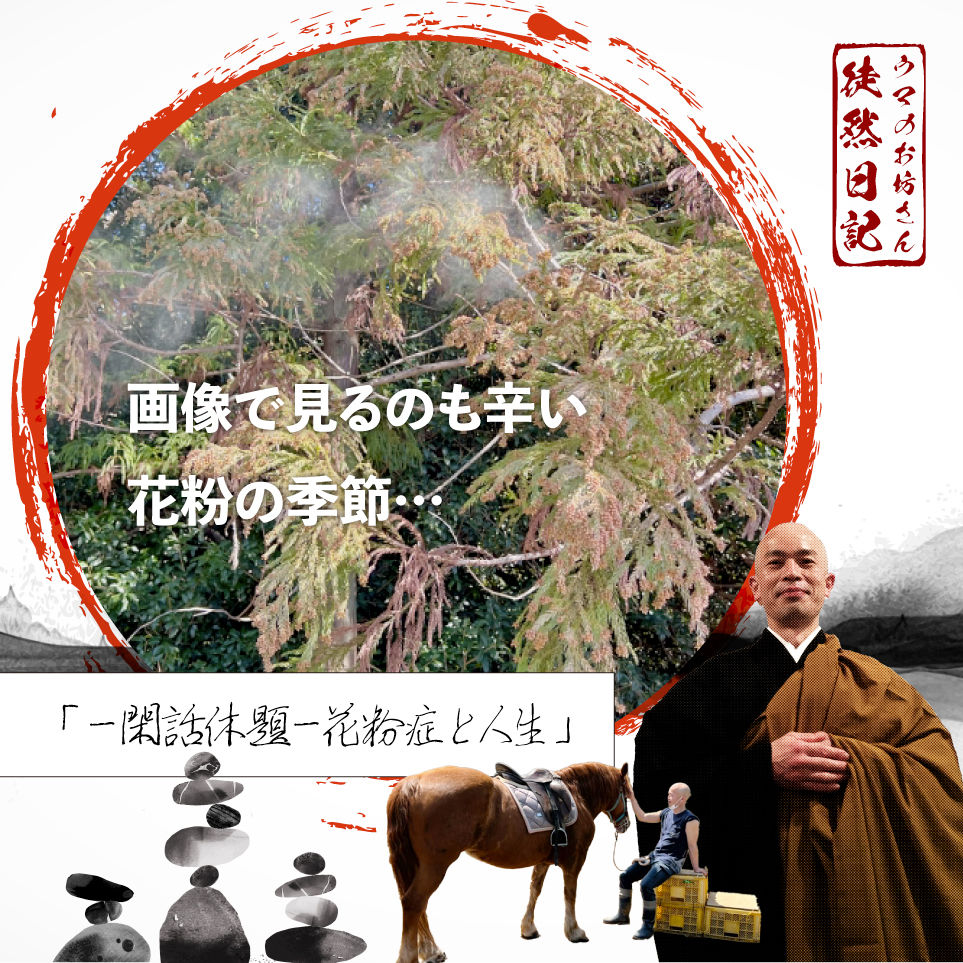 法要にも影響が出るレベルで、今年は何だか花粉が辛いじろーさん…🐴👨🏻‍🦲🪷