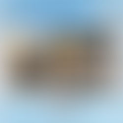 年中無休でLIVE配信 📺｜🐴＜舞姫スペシャル障害セットにチャレンジ❤️‍🔥その結果は…？