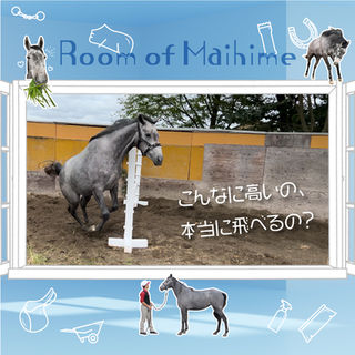 年中無休でLIVE配信 📺｜🐴＜舞姫スペシャル障害セットにチャレンジ❤️‍🔥その結果は…？