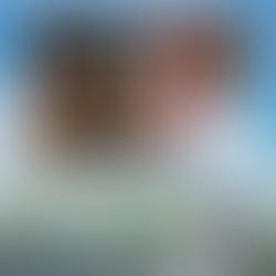 🐎引退馬の「養老余生」を考える会議に参加して