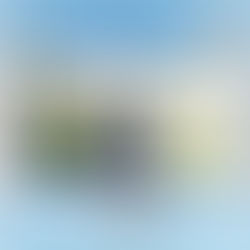 年中無休でLIVE配信 📺｜🐴＜まったり時間も大事よね☕️ 舞姫の遊ぼうアピール全開🥳