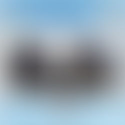 年中無休でLIVE配信 📺｜🐴＜将来一緒にパフォーマンスをするために…！💪 ショス君と秘密の特訓中🏋️🏇