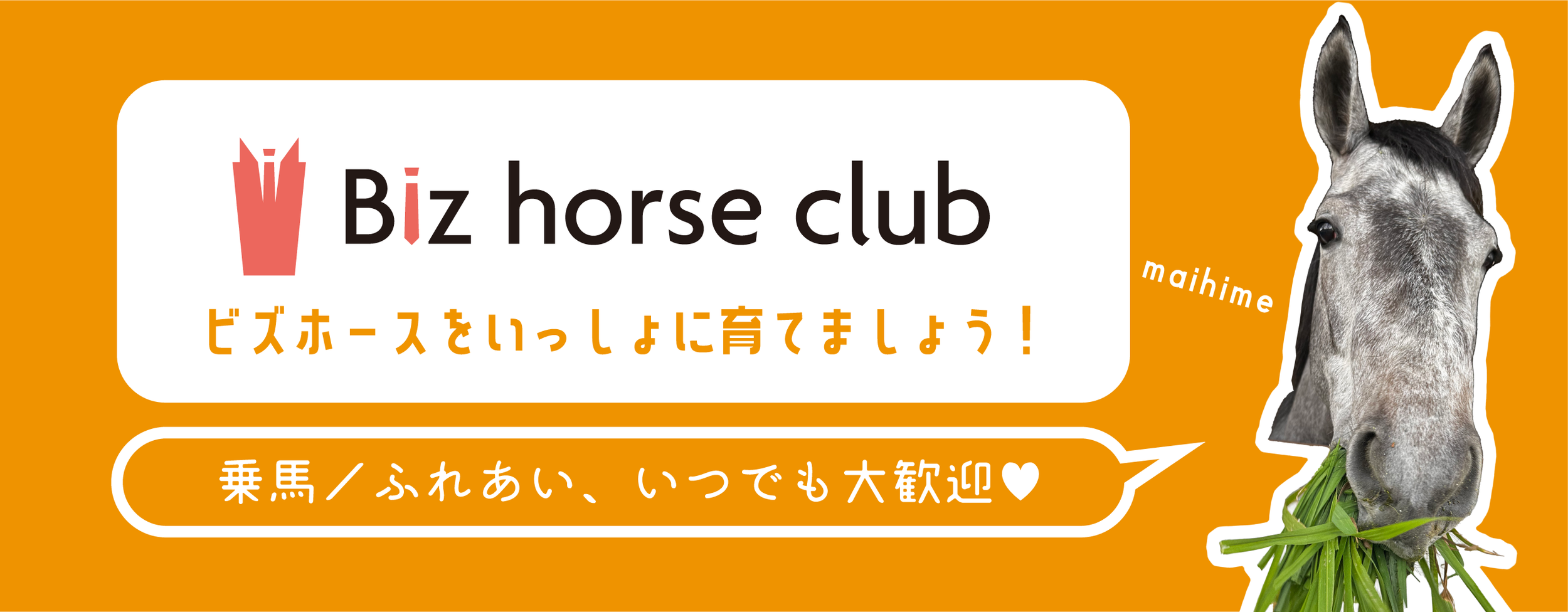 一般社団法人ホースサポートセンター | 引退競走馬の価値創造と