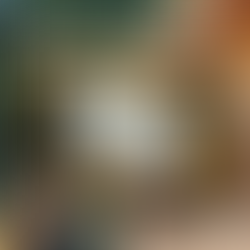 講演・トークショーを終えて🎤