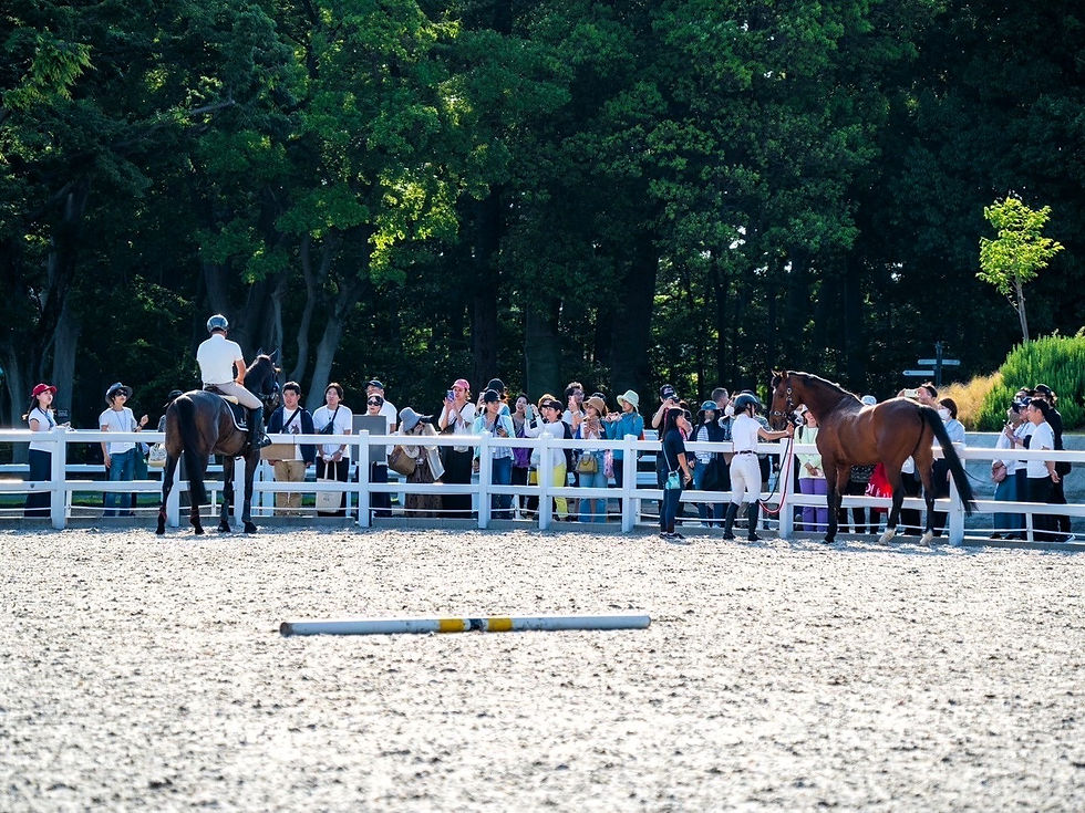 「TCCホースと、支えてくださっている TCC会員さまと」