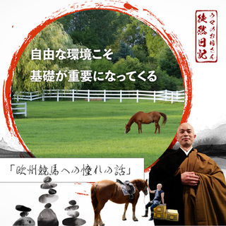 人馬の関係をしっかり構築する上で、ラチが無いことが生む効果🐴👨🏻‍🦲🪷