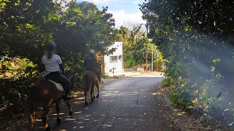 名水までぱかぱか進んでる途中。