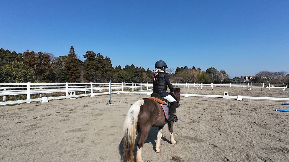 大エースのシルフィー。邪魔すんなと小さな背中が語っている。