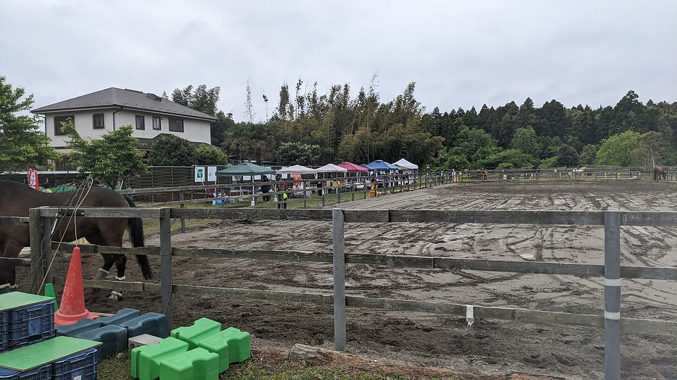 奥のテント群がマルシェエリア。馬場は前日までに頑張って水を抜いていただいたそうで圧倒的感謝。