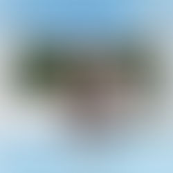 年中無休でLIVE配信 📺｜🐴＜トレーニング絶好調！🏋️‍♀️…だけどやる気が保たなくて😅