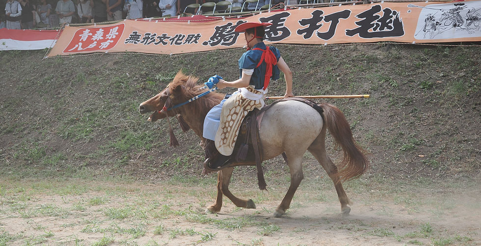 小走りや常歩が多くなってくる馬たち。