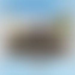 年中無休でLIVE配信 📺｜🐴＜舞姫の背中で学べ‼️❤️‍🔥 夢見るジョッキー見習いをお手伝い🏇