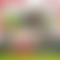 進化し続けるヴェルサイユリゾートファームの魅力を太田さん自らプレゼン！🐴🌹