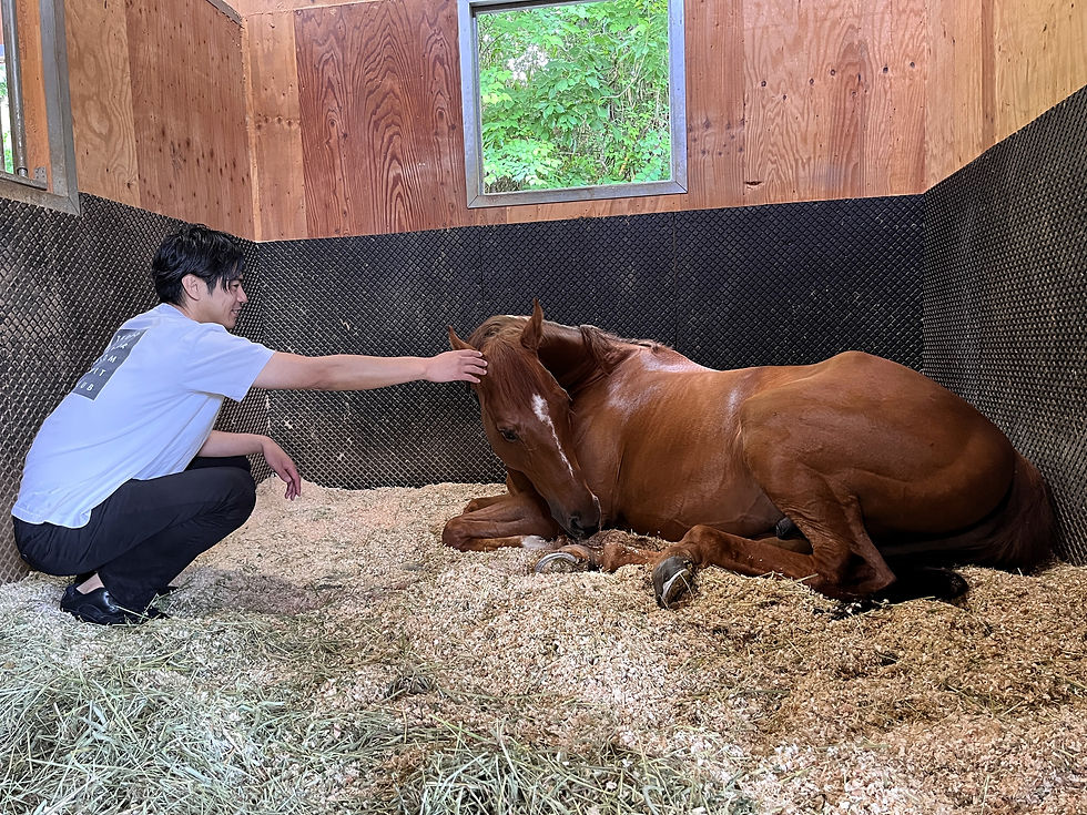 「TCCホース ラッキーハンターと」