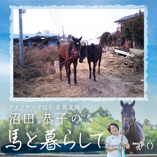 震災を乗り越え、命を繋ぐ被災馬支援🐴