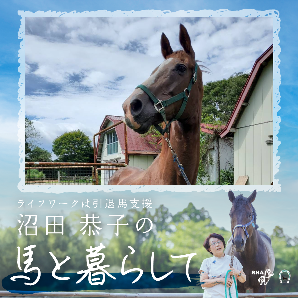 タイキポーラが教えてくれた「本当の引退」🐎