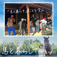 🐴「馬と暮らす」ことを学ぶ📝小学校の総合学習