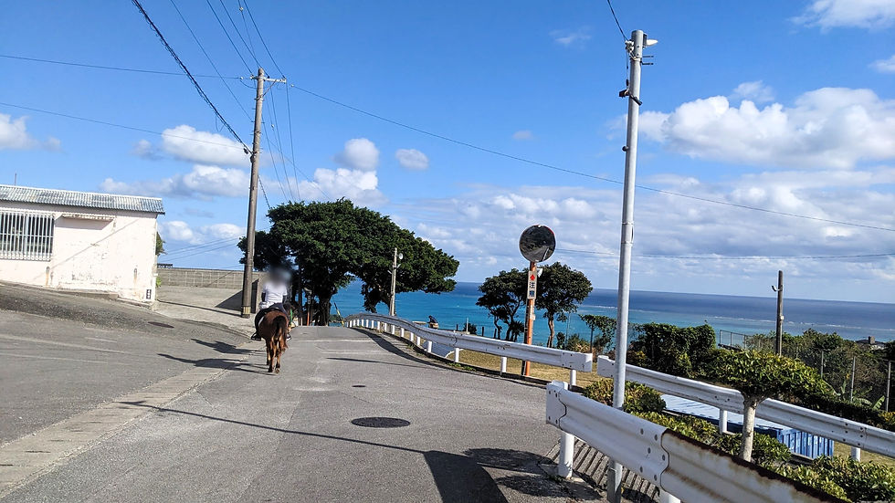 割とこの青は、泣く。