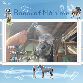 年中無休でLIVE配信 📺｜🐴＜素顔の見えるオフショットも📸 舞姫のプライベート大公開！