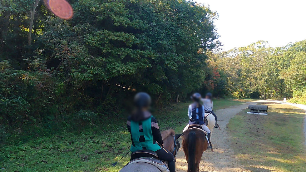 指さす先に少し開けたところがあり、それが獣道だという。右側にある物体もクロスカントリーの障害。