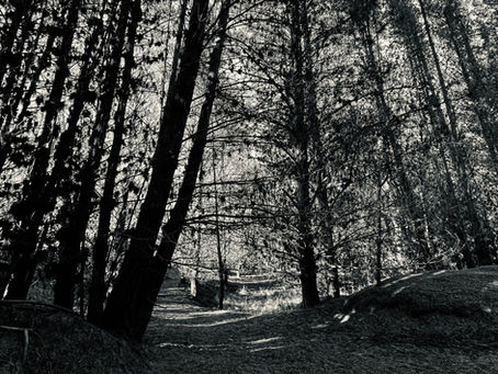The Space Between ….