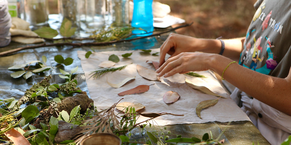 Introduction to Ecoprinting // 45€