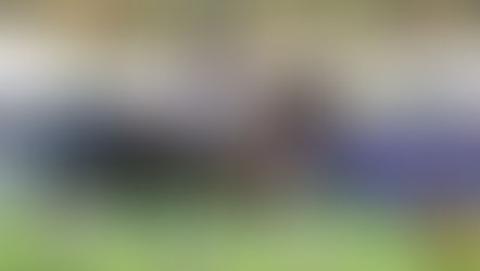 All eyes will be on Pryde’s EasiFeed Dressage Day when Adelaide’s Equestrian Festival gets underway