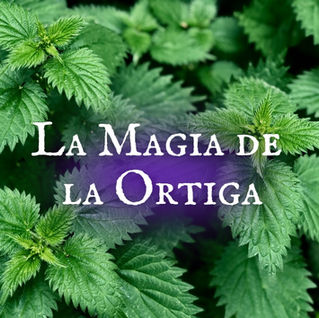 Usos Mágicos: Ortiga