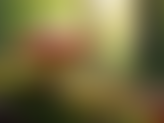 Unlocking the Shamanic Significance of Mushrooms in Spiritual Practices