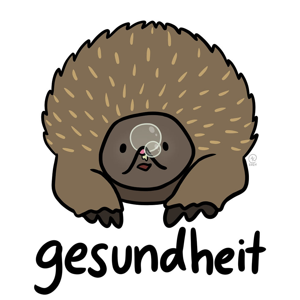 Echidna
