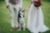have you dog at your wedding