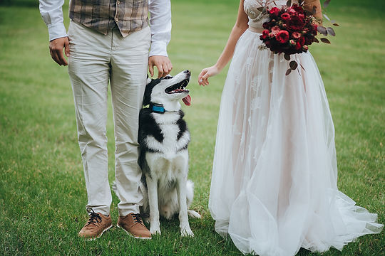 have you dog at your wedding