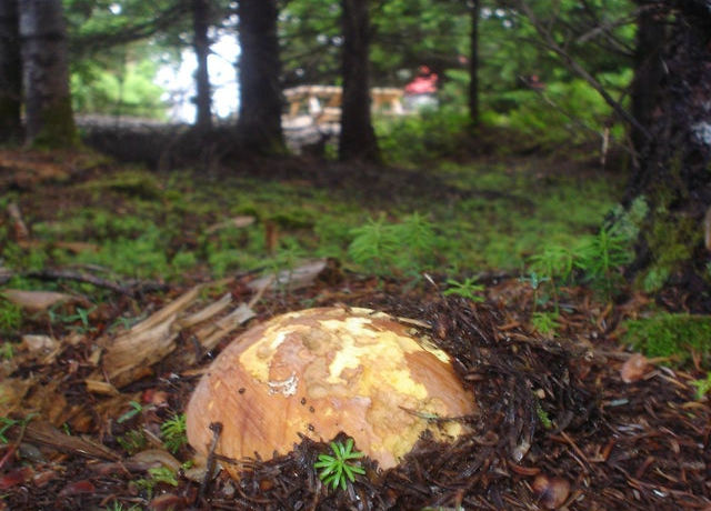 rdfc8xcem5c91.jpg_width=640&crop=smart&auto=webp&s=621ccd1c93a3726e049c6b1b7277c7976a0083f