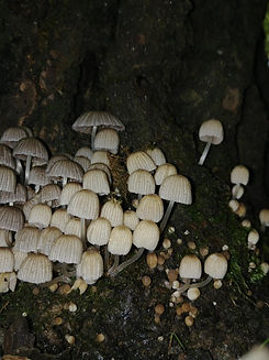 4n097iwncm791.jpg_width=640&crop=smart&auto=webp&s=41c93e74ef455a66c47bcb61a6536a5302898d9