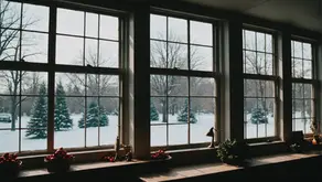 Shine Bright this Holiday Season with Immaculate Windows - Let the Festive Light In!