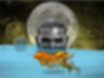 Veil Tale.jpg