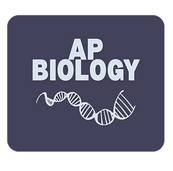 contra costa (2).png