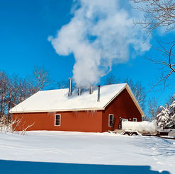 Sugarhouse Tours