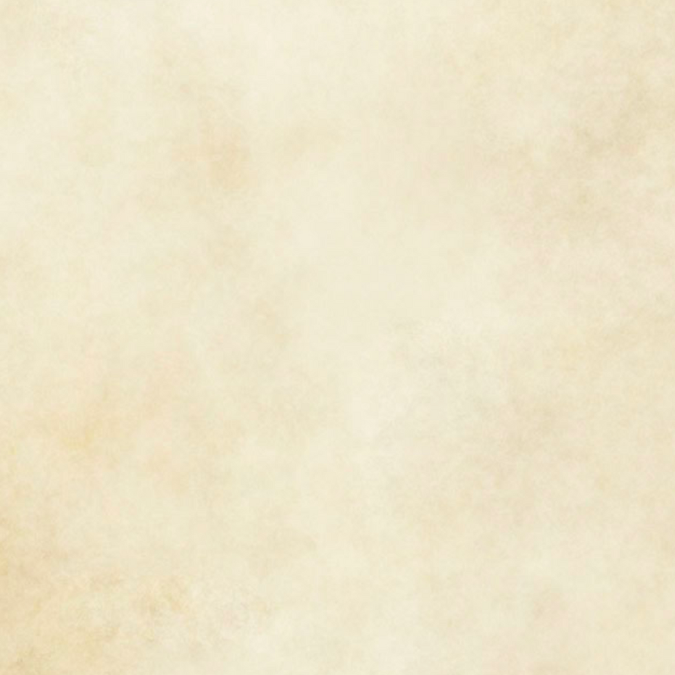 Fondo.png