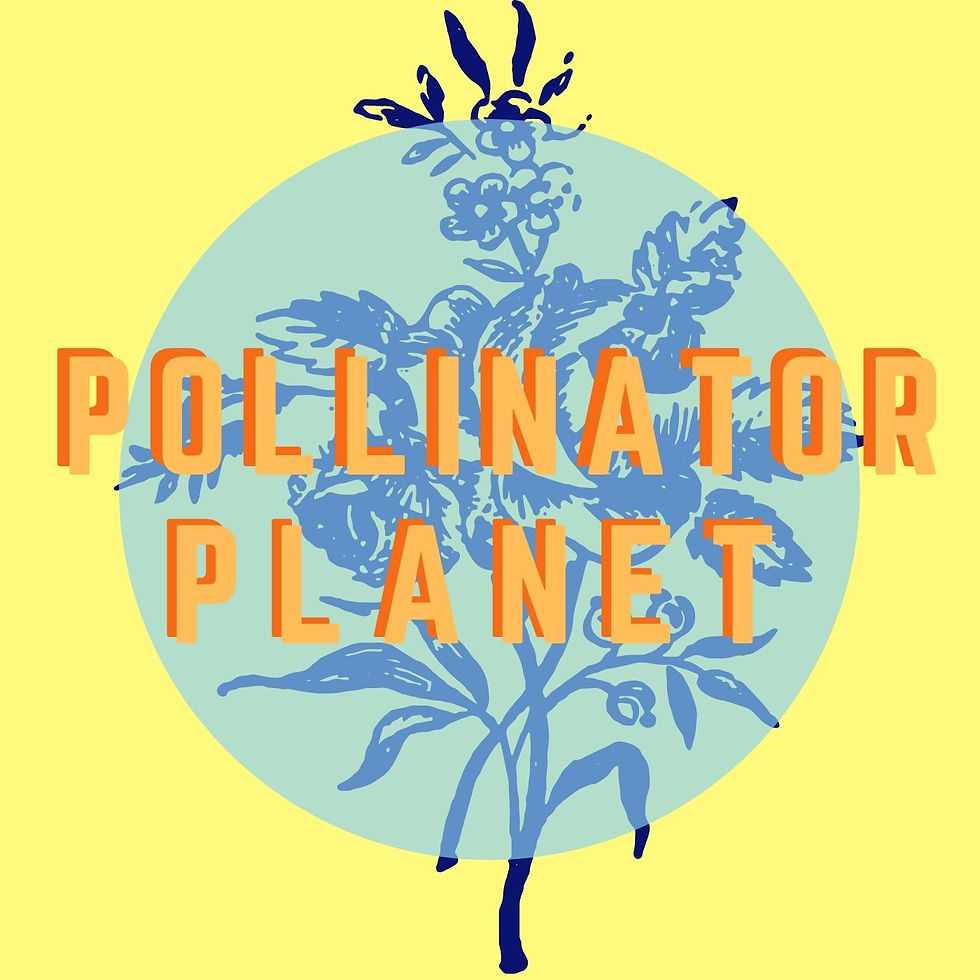 pollinator