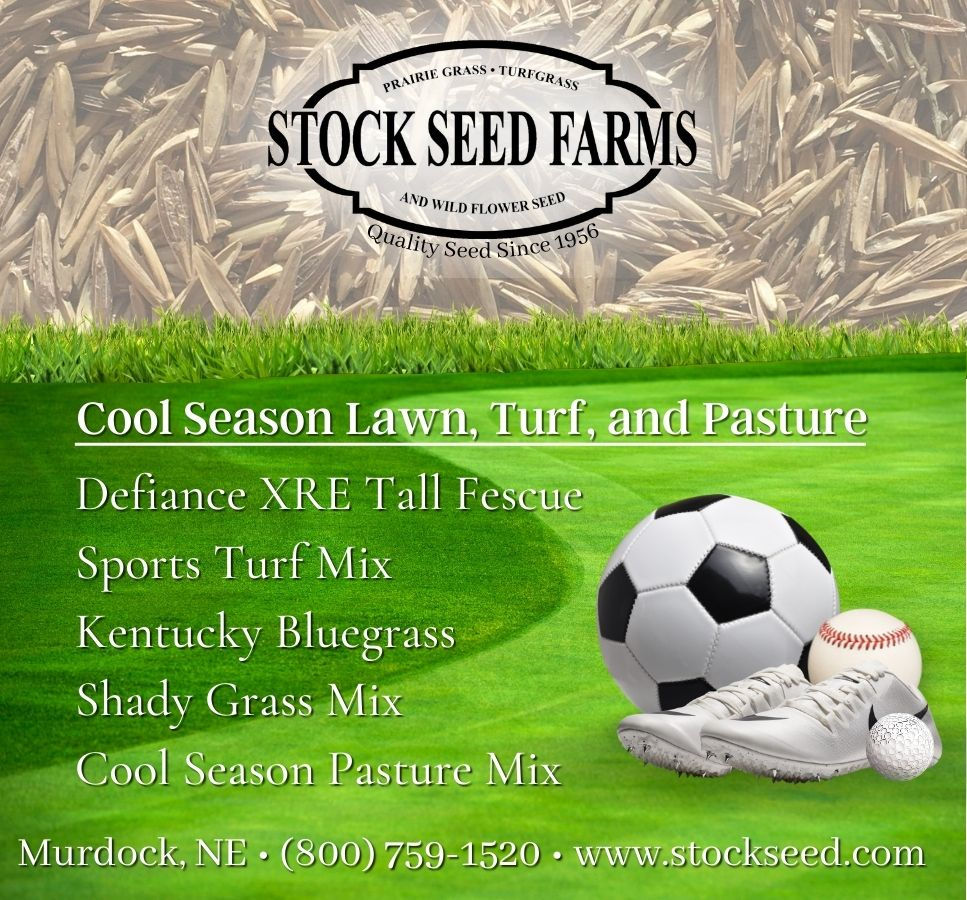 Spring Sports Journal Ad (2)