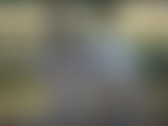 Grain Fed vs. Grass Fed