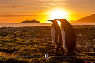 Antarctica-1.jpeg