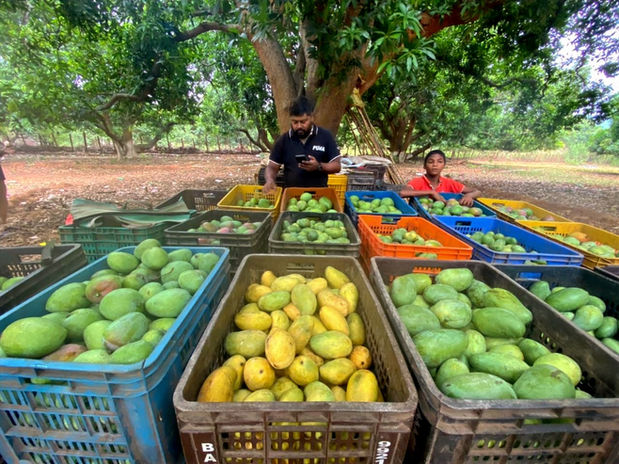 WhatsApp Image 2022-06-22 at 8.23_edited.jpg