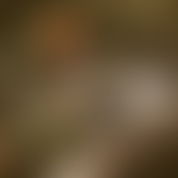 Manejo adecuado de la sombra en los cafetales