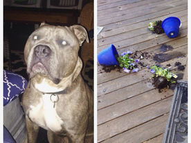 A crime was committed...