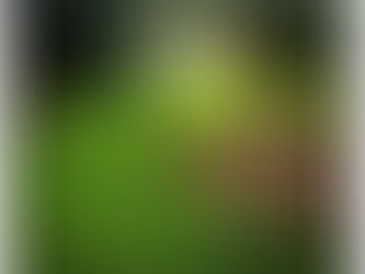 Coming Home Feels So Good