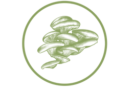 Logo champignons pleurotes